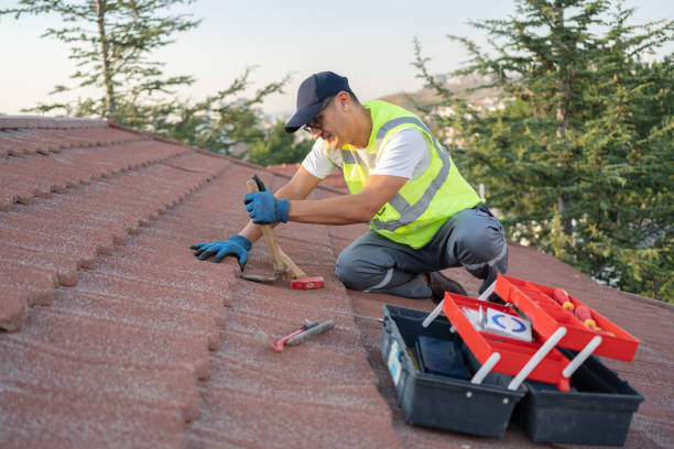 Best Roof Gutter Cleaning  in Warren, IN