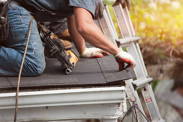 Best Metal Roofing Contractor  in Warren, IN